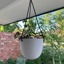 White Bonnie Hanging Basket